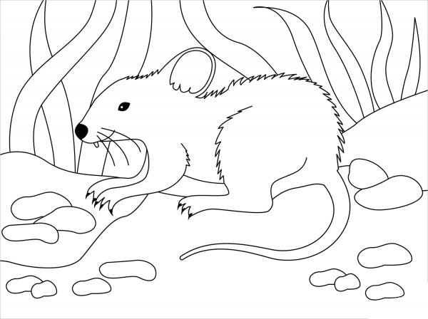 Mouse coloring page image