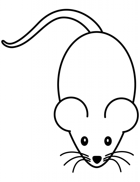 Mouse coloring page image