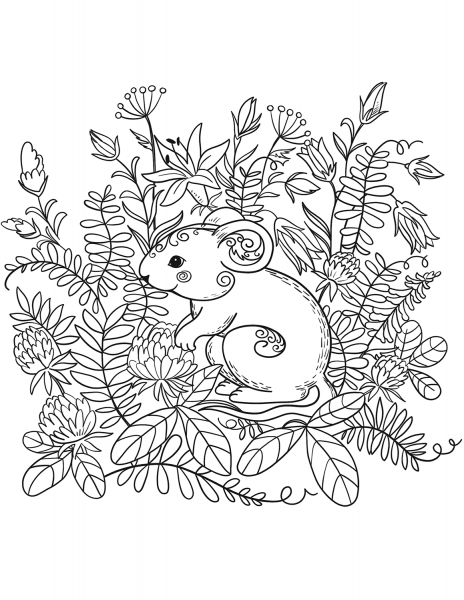 Mouse coloring page image