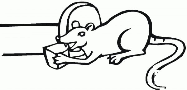 Mouse Have A Cheese coloring page image