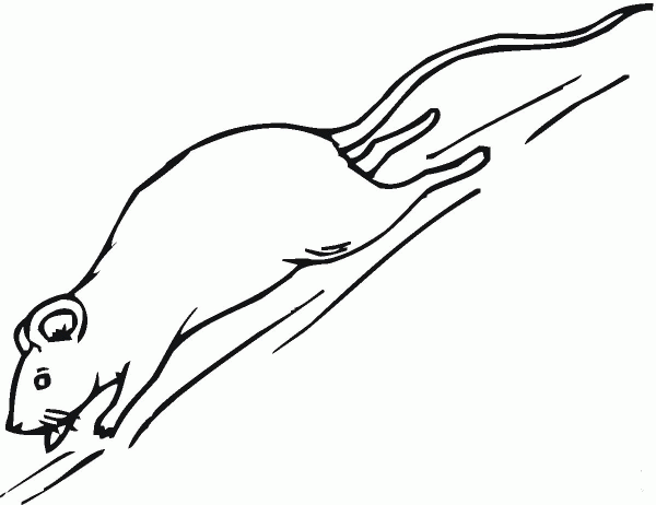 Mouse runs coloring page image