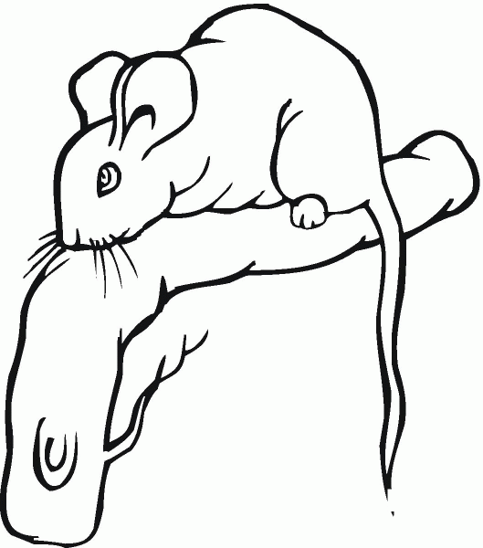 Mouse Stands On Branch coloring page image