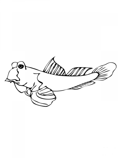 Mudskipper Fish coloring page image