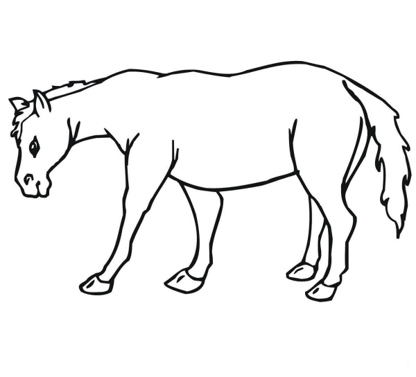 Mule coloring page image