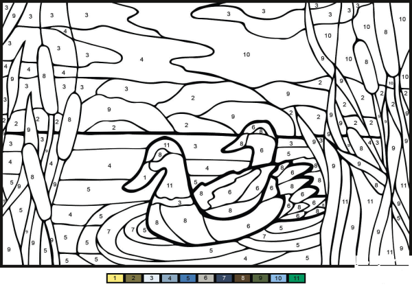 Mullard Ducks Color by Number image