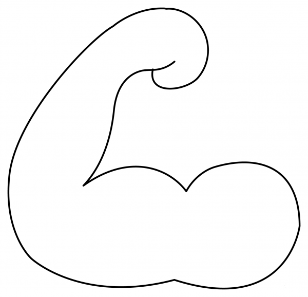 Muscle coloring page image