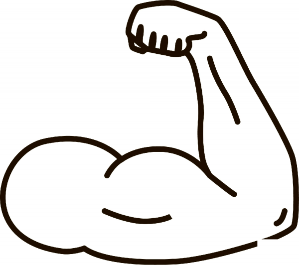 Muscle coloring page image