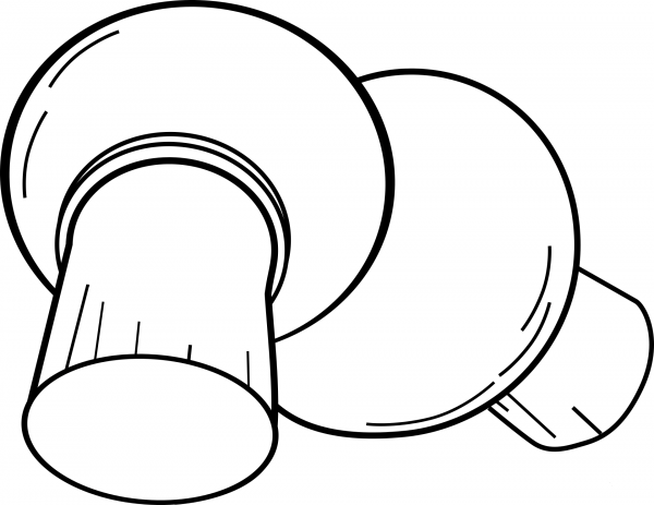 Mushrooms coloring page image