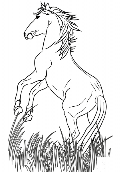 Mustang coloring page image