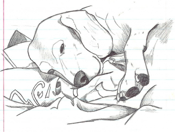 My Beagle Dog by Jazzy coloring page image