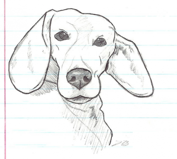 My Beagle Dog Lucky coloring page image