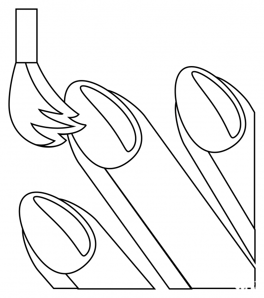 Nail Polish coloring page image