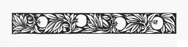 Narrow Band of Ornament with Apples and Foliage coloring page image