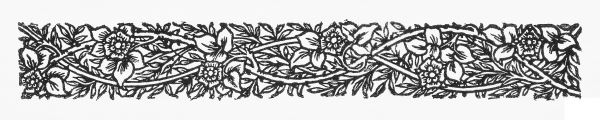Narrow Band of Ornament with Flowers and Foliage coloring page image