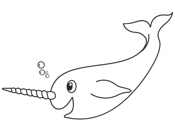 Narwhal coloring page image