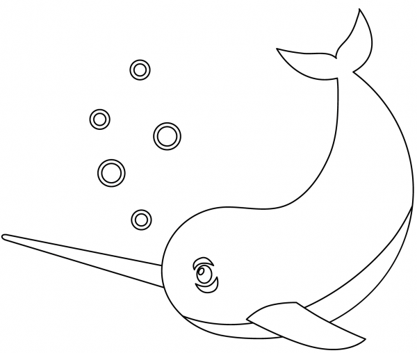 Narwhal coloring page image