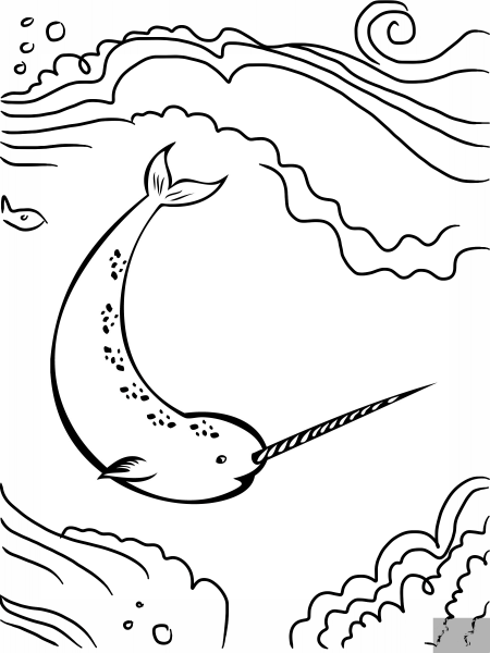 Narwhal Unicorn of the Sea coloring page image