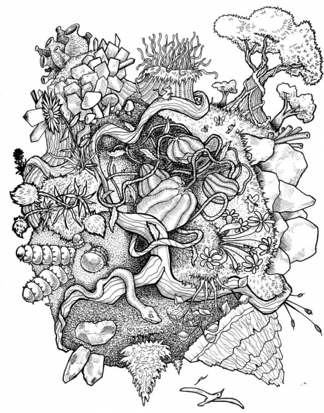 Nature Doodle coloring page image