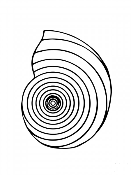 Nautilus Shell coloring page image