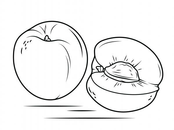 Nectarine and Cross Section coloring page image