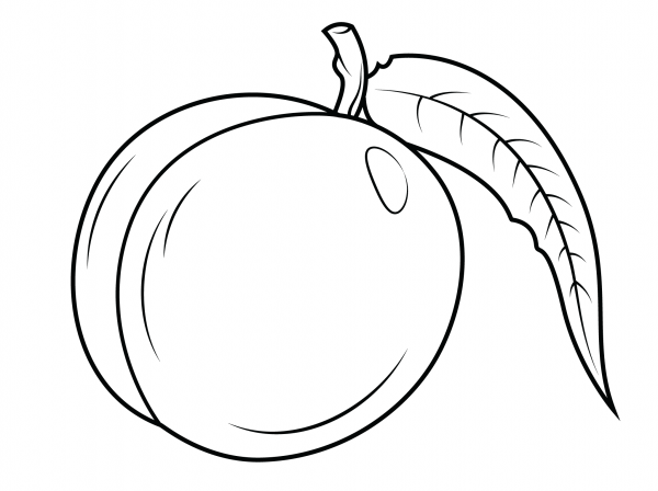 Nectarine with Leaf coloring page image
