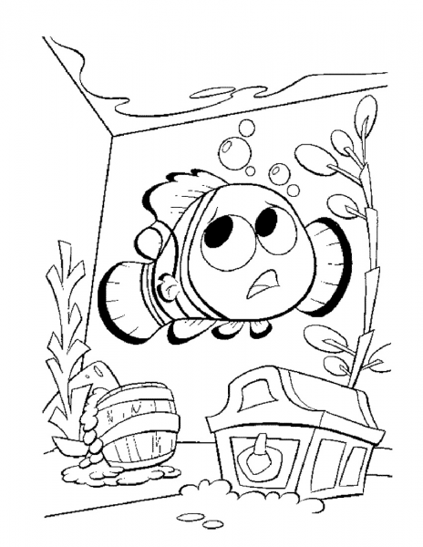 Nemo In The Aquarium  coloring page image