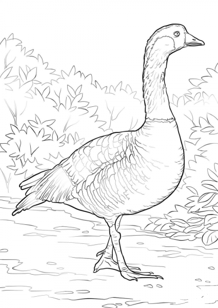 Nene coloring page image