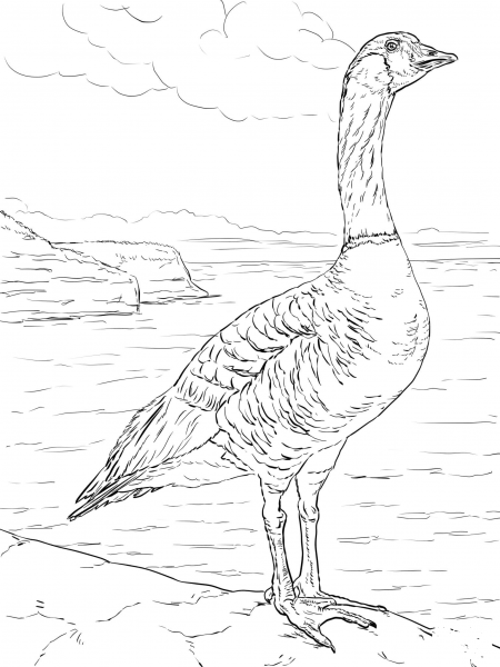 Nene Goose coloring page image