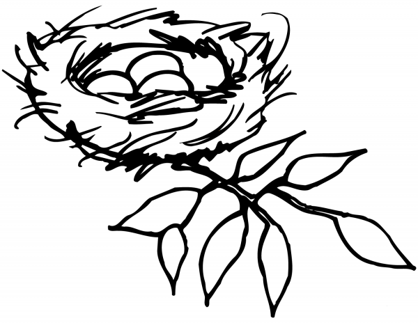 Nest coloring page image