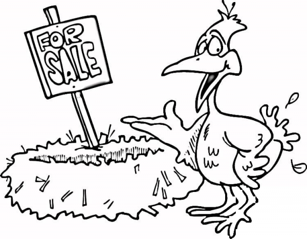 Nest for Sale  coloring page image