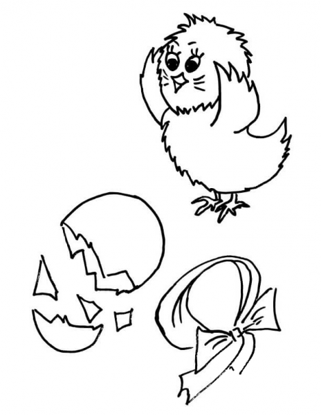 New Born Chick  coloring page image