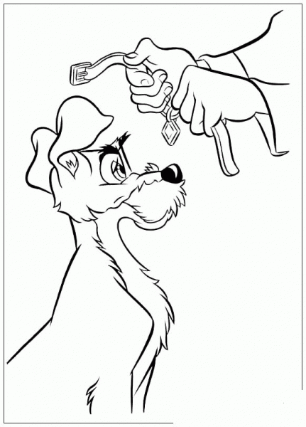 New Collar for Trump coloring page image