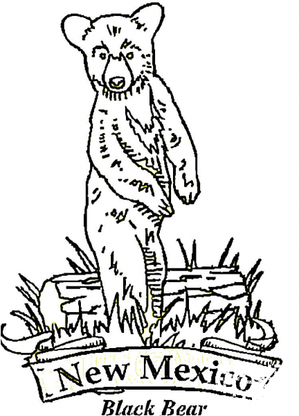 New Mexico Bear  coloring page image