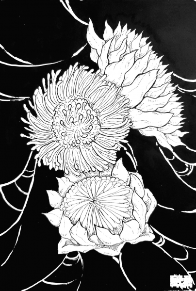 Night flowers coloring page image
