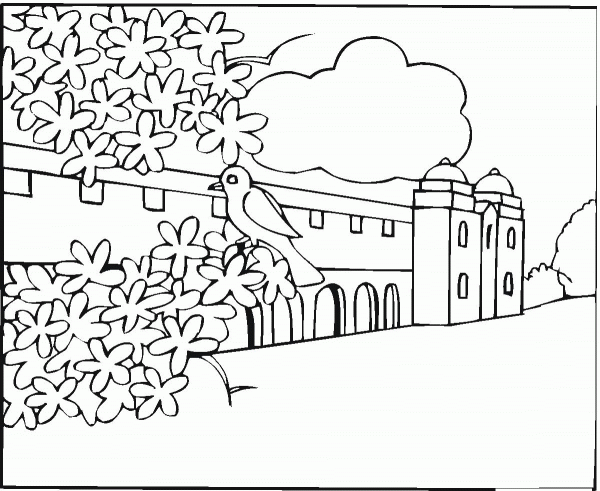 Nightingale Bird  coloring page image