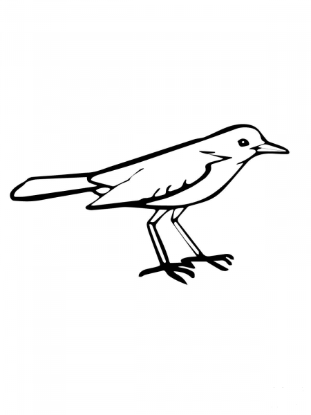Nightingale coloring page image
