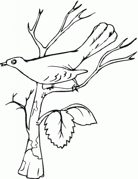 Nightingale is Singing  coloring page image