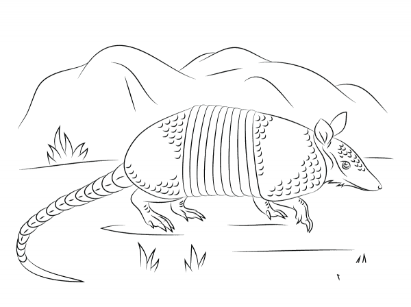 Nine-Banded Armadillo Walks coloring page image