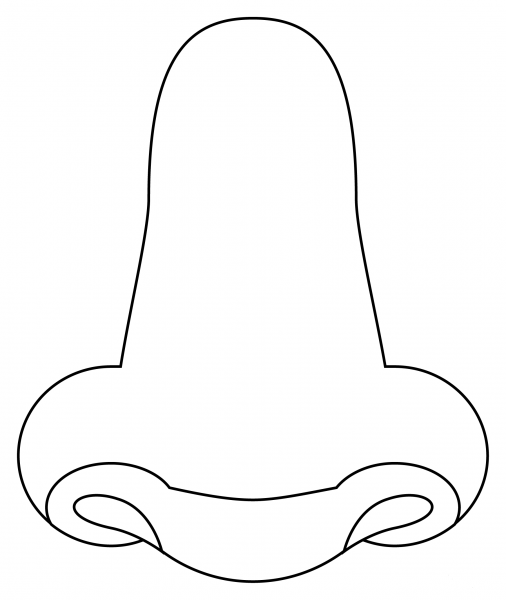 Nose coloring page image