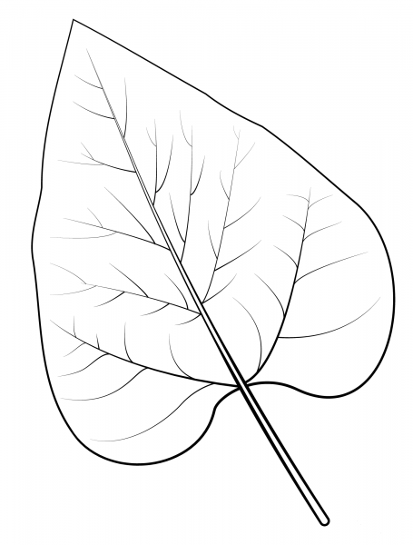 Nothern Catalpa Leaf coloring page image