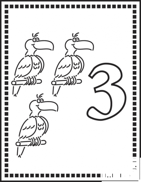 Number 3 Or Three Parrots coloring page image