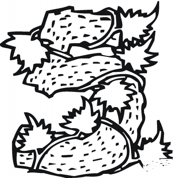 Number 5 coloring page image