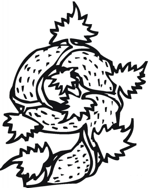 Number 9 coloring page image