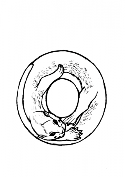 O is for Otter coloring page image