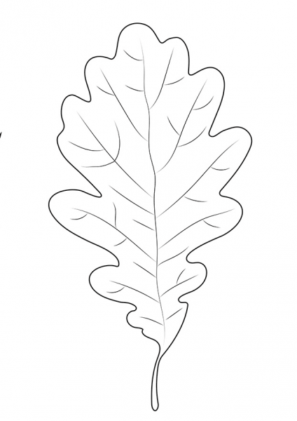 Oak Leaf coloring page image