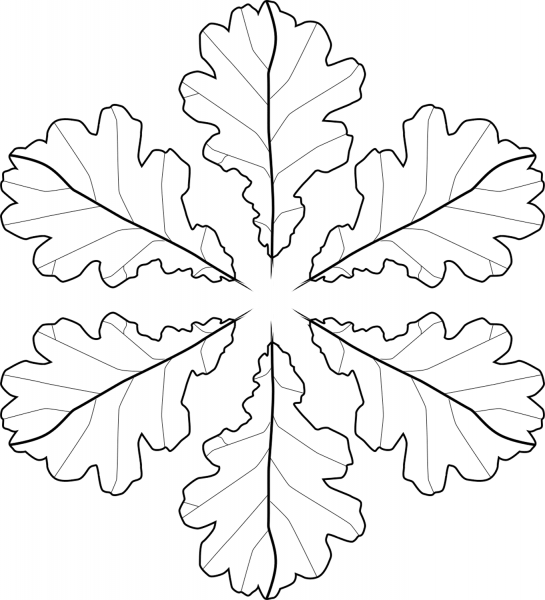 Oak Leaves Pattern coloring page image