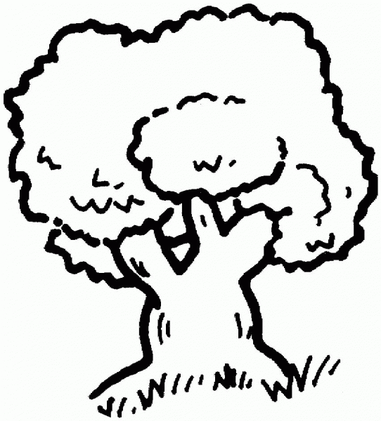 Oak Tree Outline coloring page image