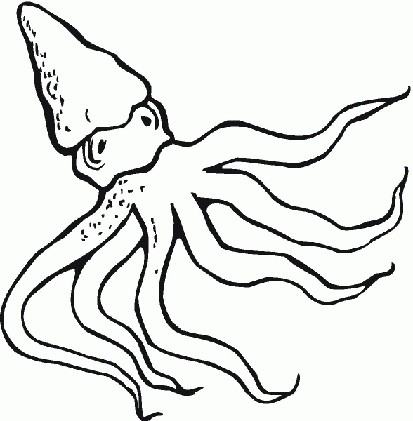 Octopus 10 coloring page image