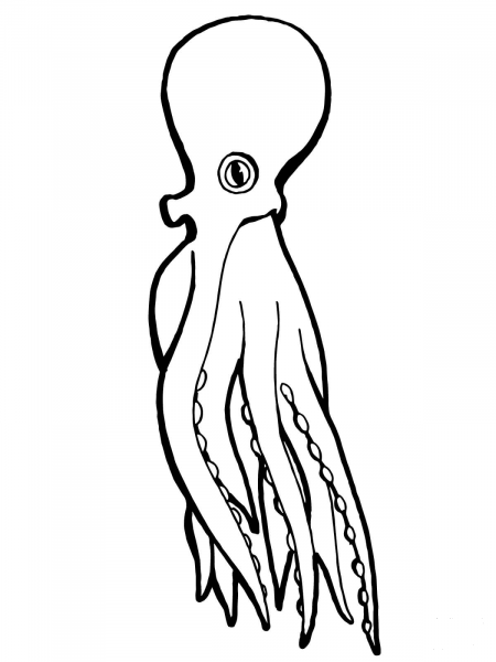 Octopus coloring page image