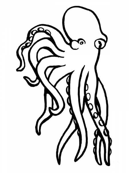 Octopus Mollusc coloring page image